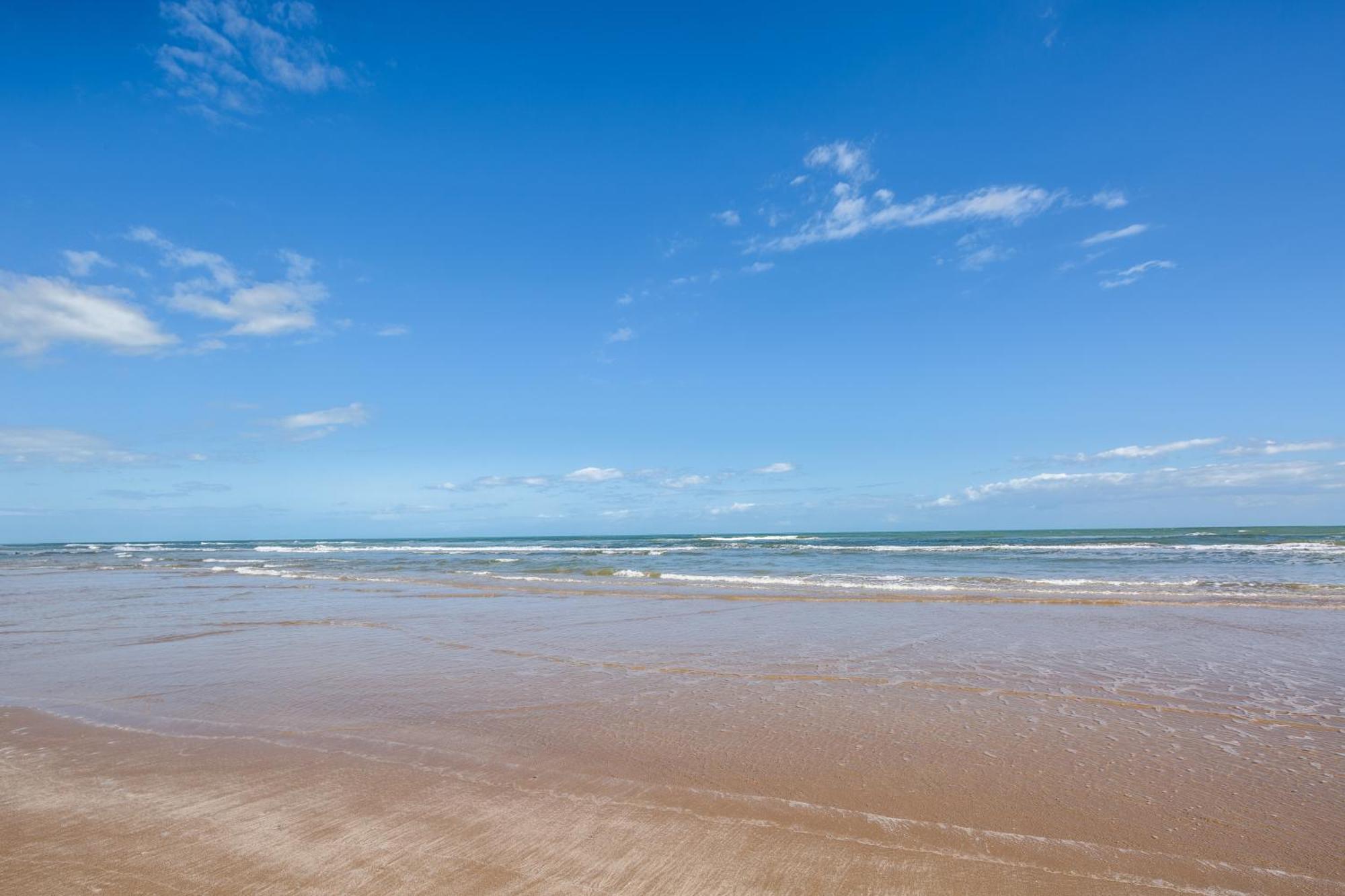 Retama Landing Lägenhet South Padre Island Rum bild
